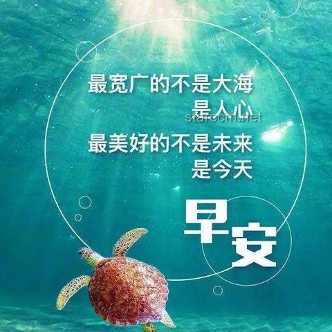 在深渊里起舞，在崩溃中举杯：探索逆境中的积极心态与自我救赎