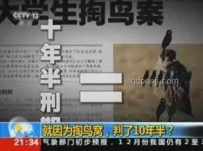 月入5万女生跨界陪父掏粪：创新价值重塑之旅