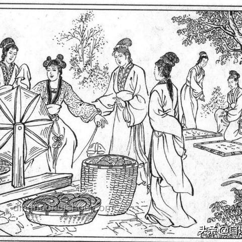 扁担女孩与普遍大学生：上大学前网络行为对比