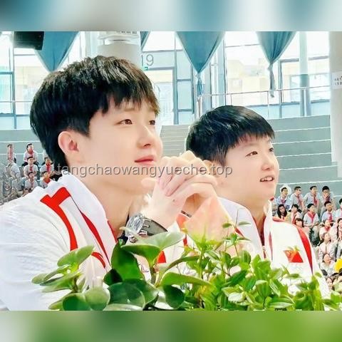 陈梦坦言：坚持梦想，退役非我愿