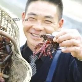 周三市场趋势深度剖析：行业波动与策略调整